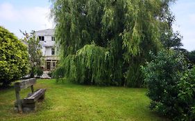 Hotel Amadora - Admite mascotas